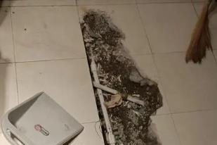 古田卫生间漏水检测电话